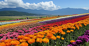樂享留壽都 北海道小樽函館洞爺湖clubmed7日